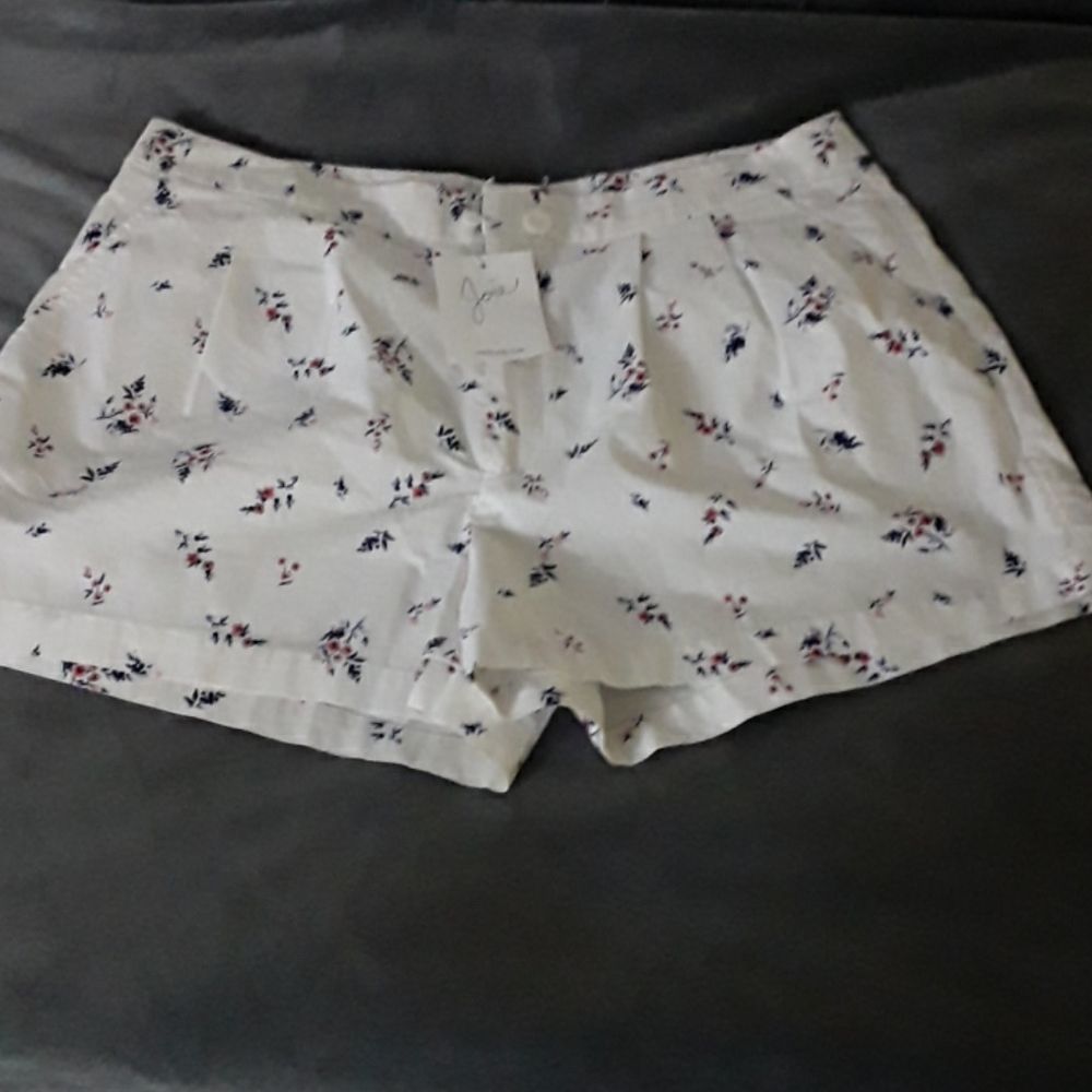 NWT Joie Anci Porcelain Shorts